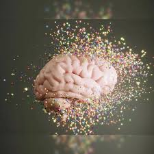 Poor Sleep Can Shrink Your Brain? 5 Everyday Habits That Shape Cognitive Health